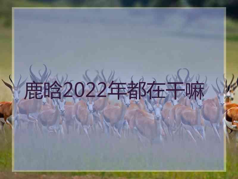 鹿晗2022年都在干嘛