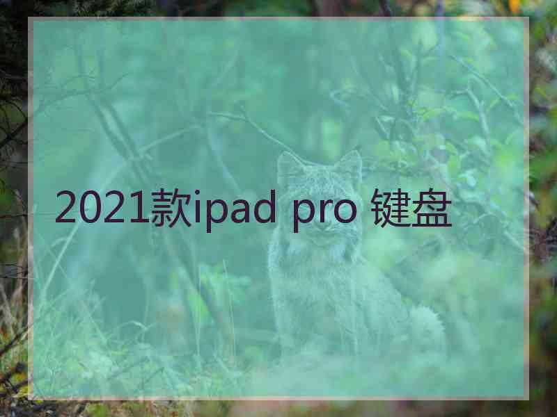 2021款ipad pro 键盘