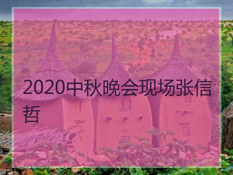 2020中秋晚会现场张信哲