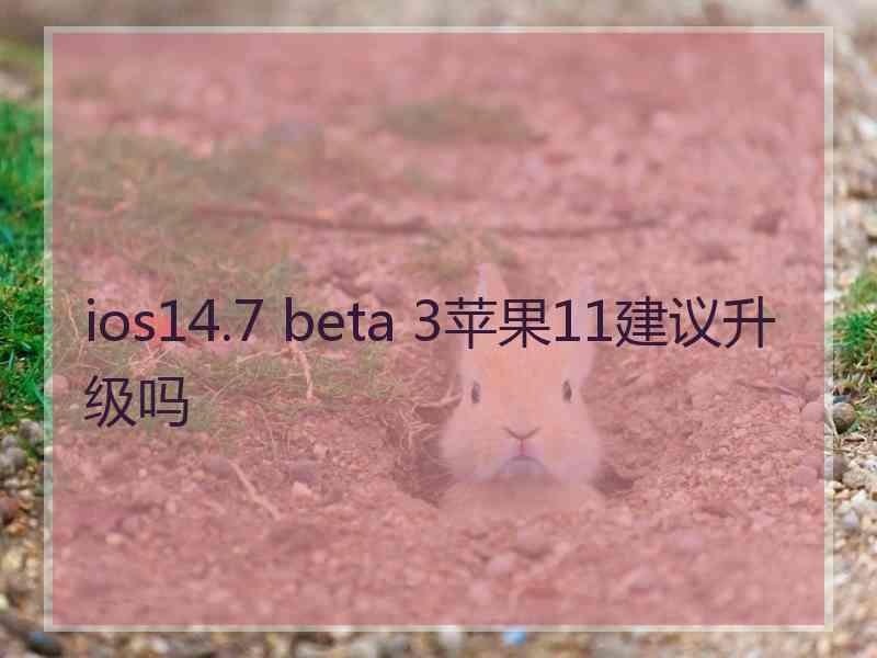 ios14.7 beta 3苹果11建议升级吗