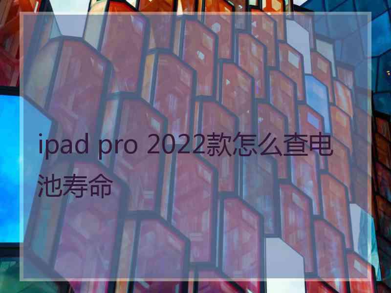 ipad pro 2022款怎么查电池寿命