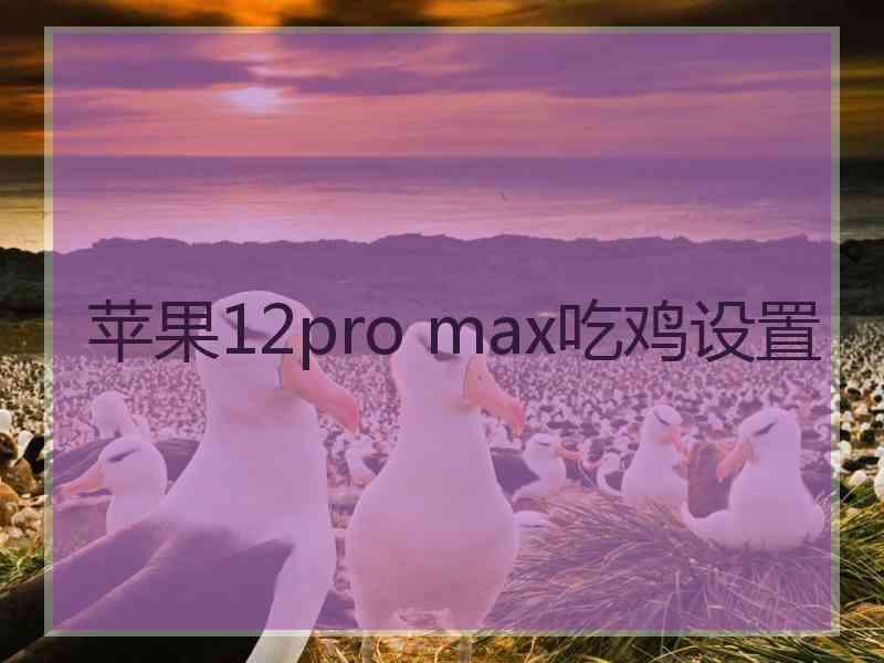 苹果12pro max吃鸡设置