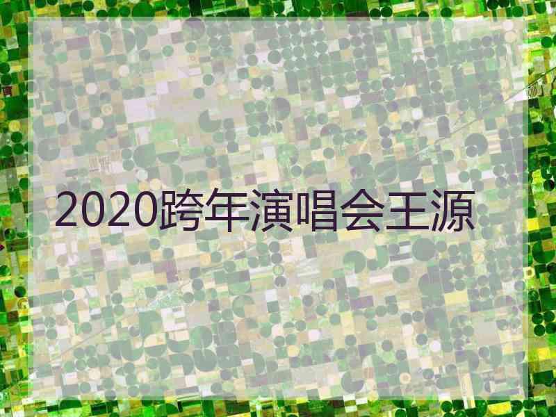 2020跨年演唱会王源