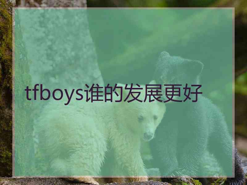 tfboys谁的发展更好