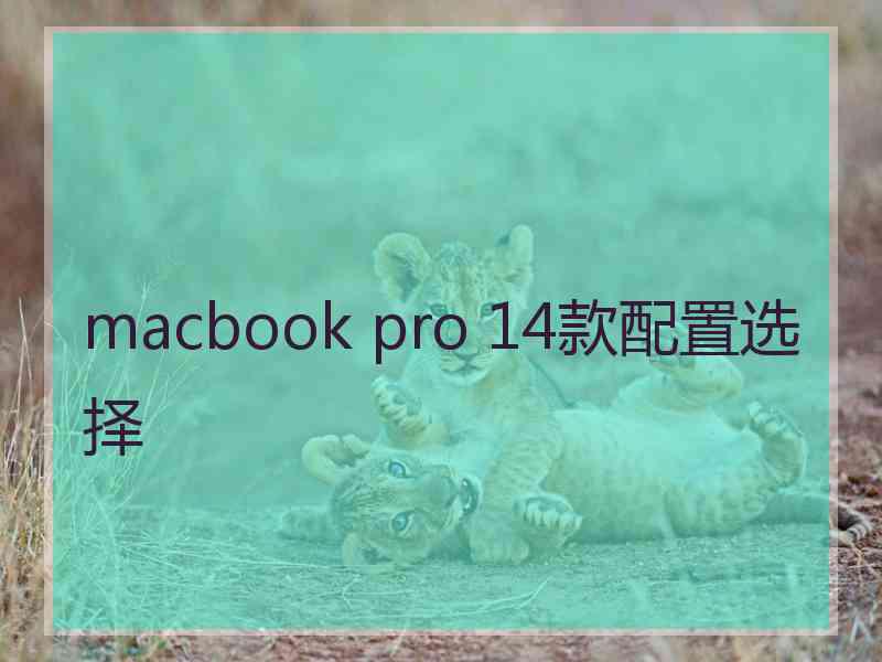 macbook pro 14款配置选择