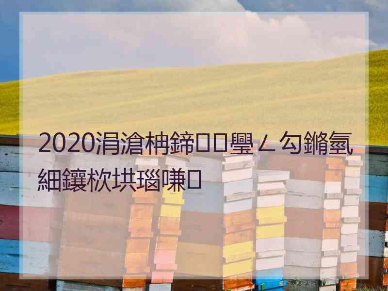 2020涓滄柟鍗璺ㄥ勾鏅氫細鑲栨垬瑙嗛