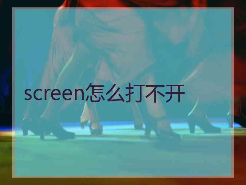 screen怎么打不开