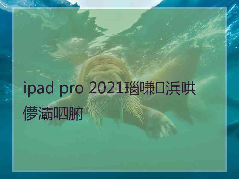 ipad pro 2021瑙嗛浜哄儚灞呬腑