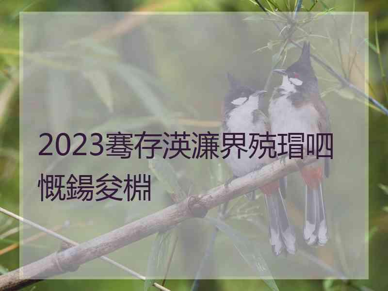 2023骞存渶濂界殑瑁呬慨鍚夋棩