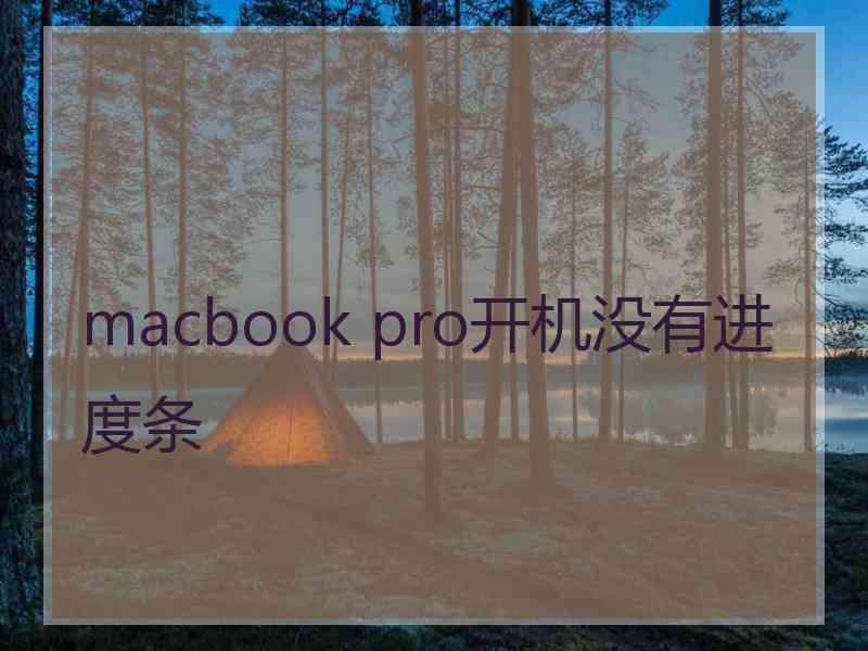 macbook pro开机没有进度条