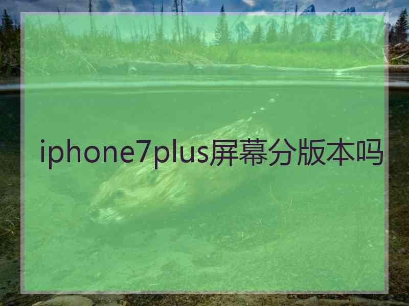 iphone7plus屏幕分版本吗