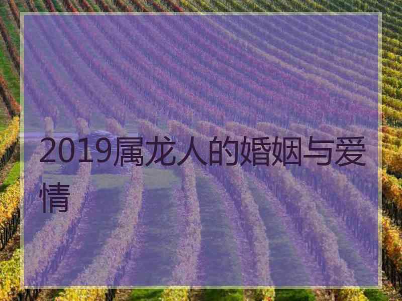 2019属龙人的婚姻与爱情