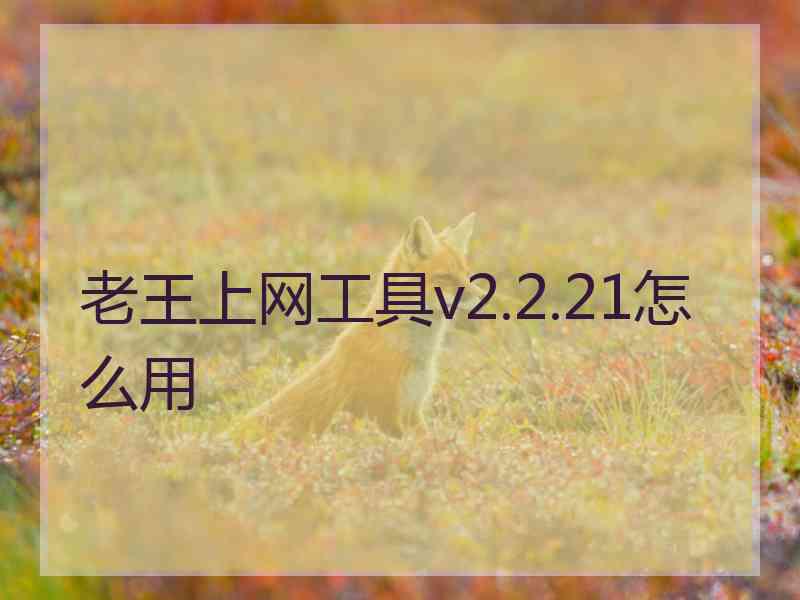 老王上网工具v2.2.21怎么用