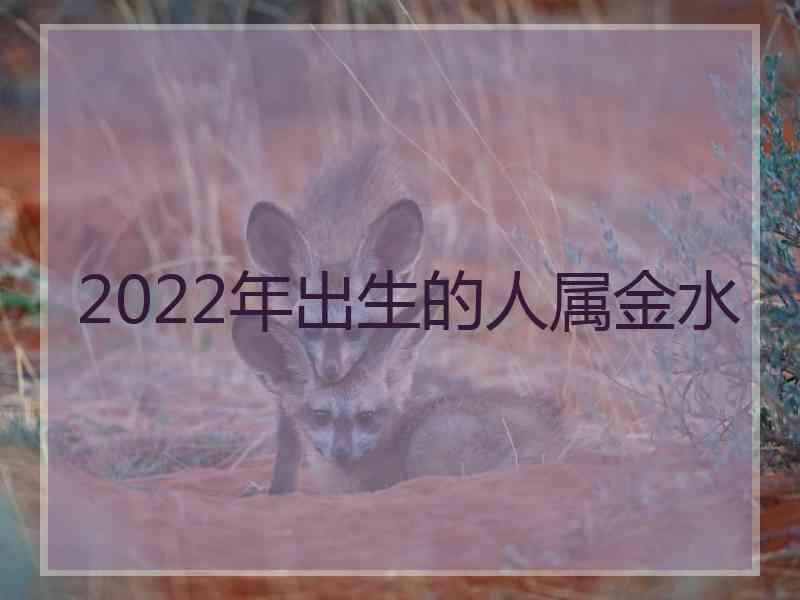 2022年出生的人属金水