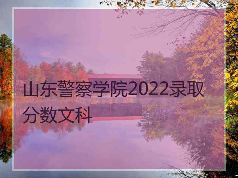 山东警察学院2022录取分数文科