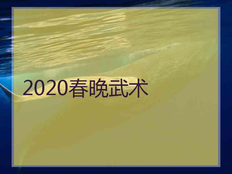 2020春晚武术