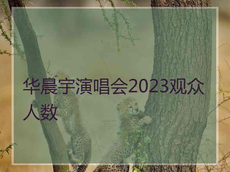 华晨宇演唱会2023观众人数