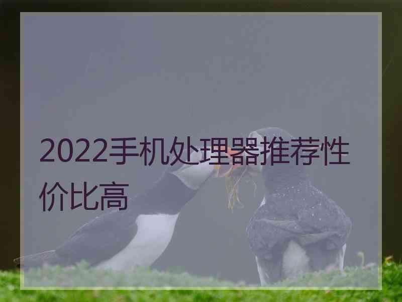 2022手机处理器推荐性价比高