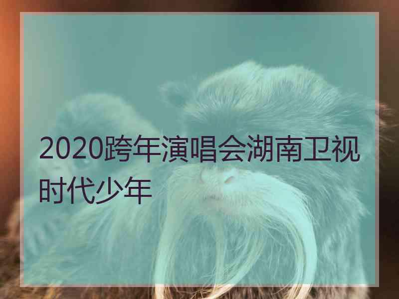 2020跨年演唱会湖南卫视时代少年