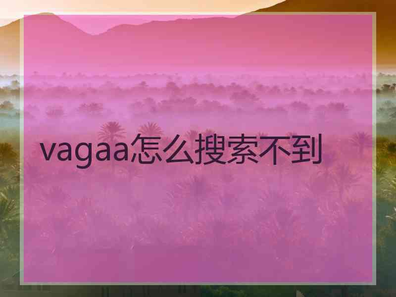 vagaa怎么搜索不到