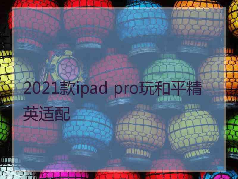 2021款ipad pro玩和平精英适配