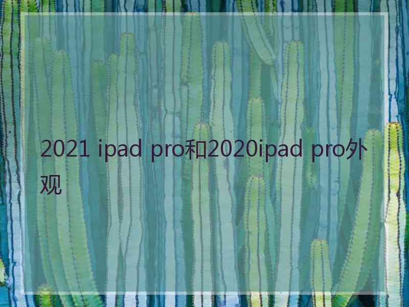 2021 ipad pro和2020ipad pro外观