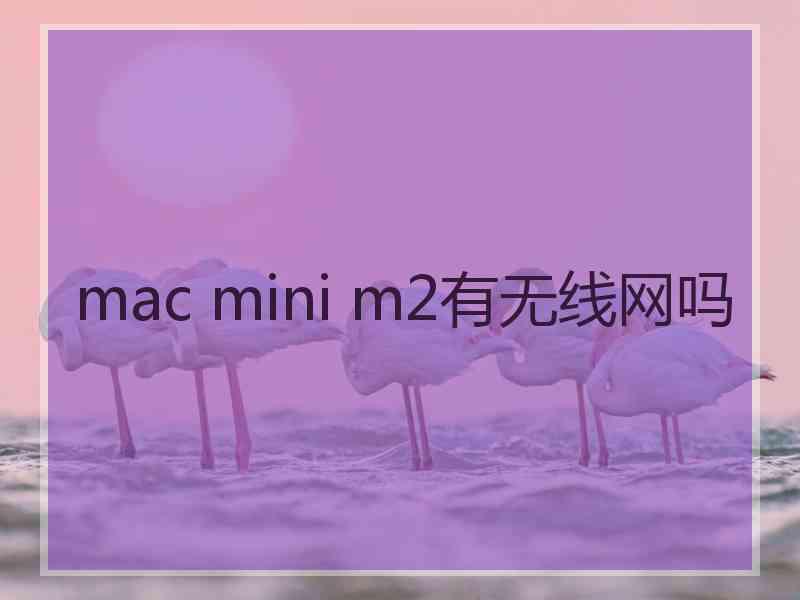 mac mini m2有无线网吗