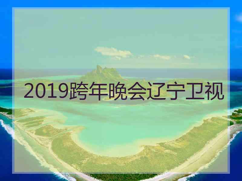 2019跨年晚会辽宁卫视