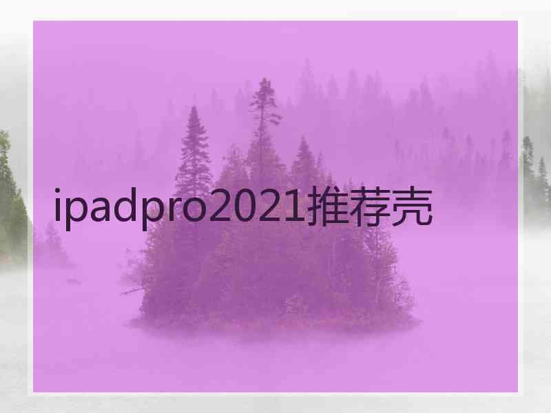 ipadpro2021推荐壳