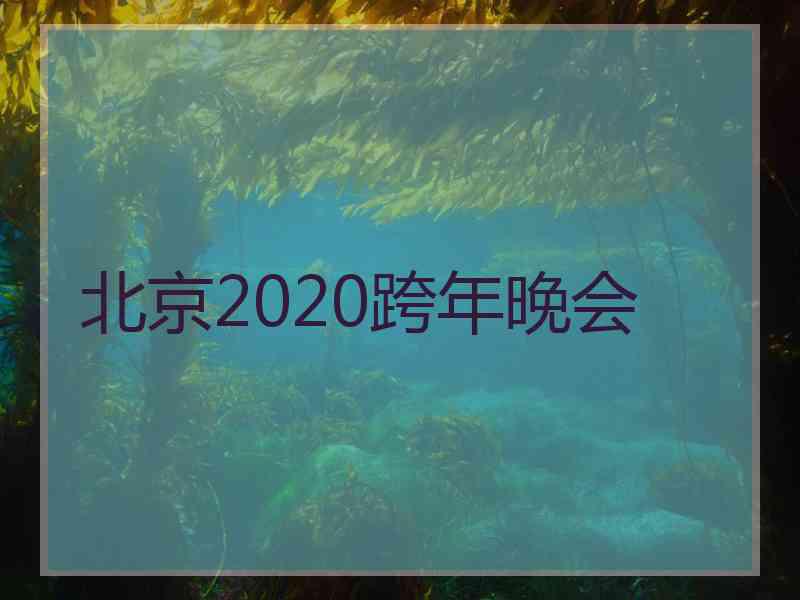 北京2020跨年晚会