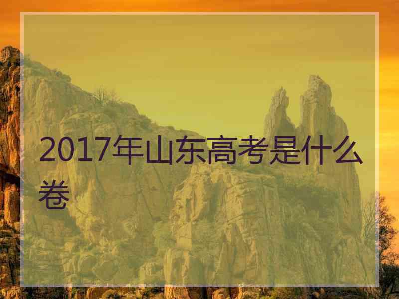 2017年山东高考是什么卷