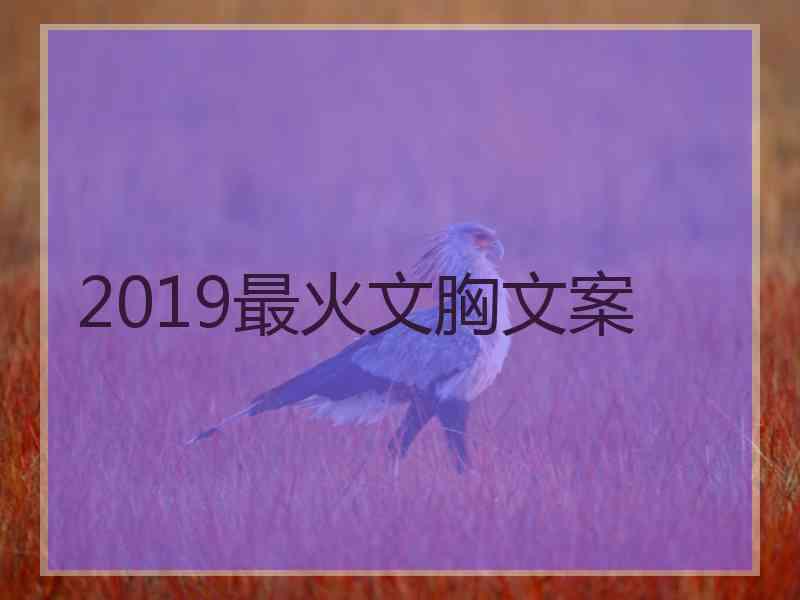 2019最火文胸文案