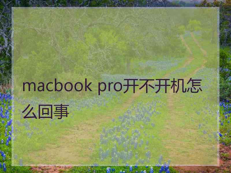 macbook pro开不开机怎么回事