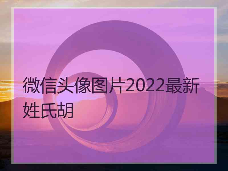 微信头像图片2022最新姓氏胡