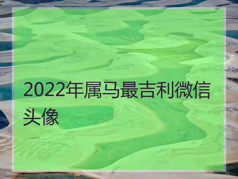 2022年属马最吉利微信头像