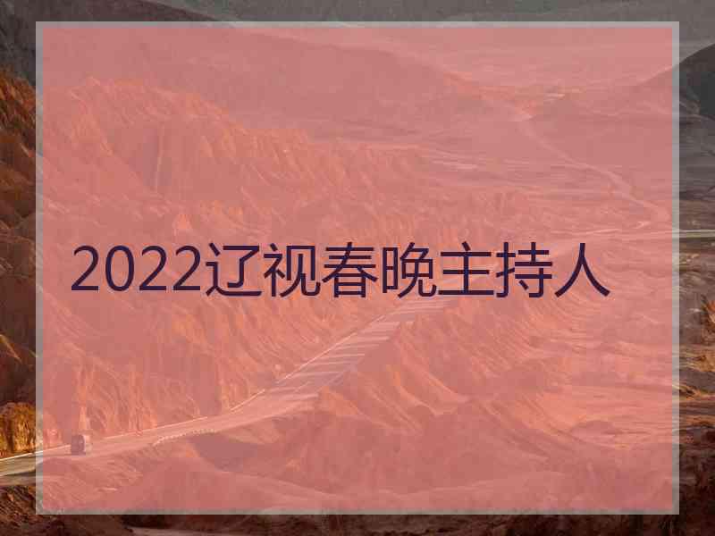 2022辽视春晚主持人