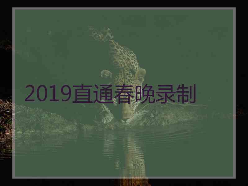 2019直通春晚录制