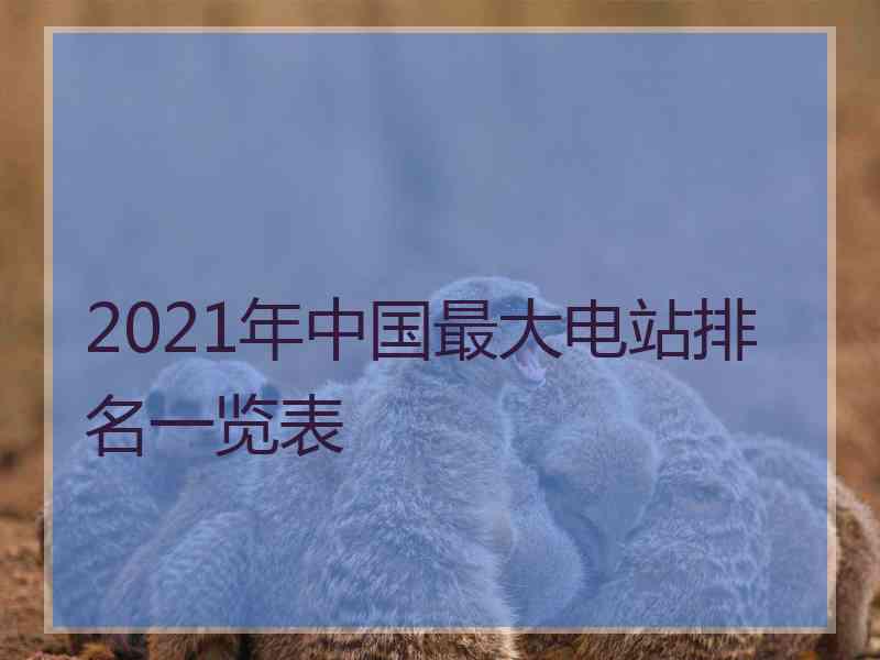 2021年中国最大电站排名一览表