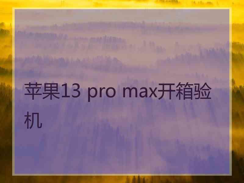 苹果13 pro max开箱验机