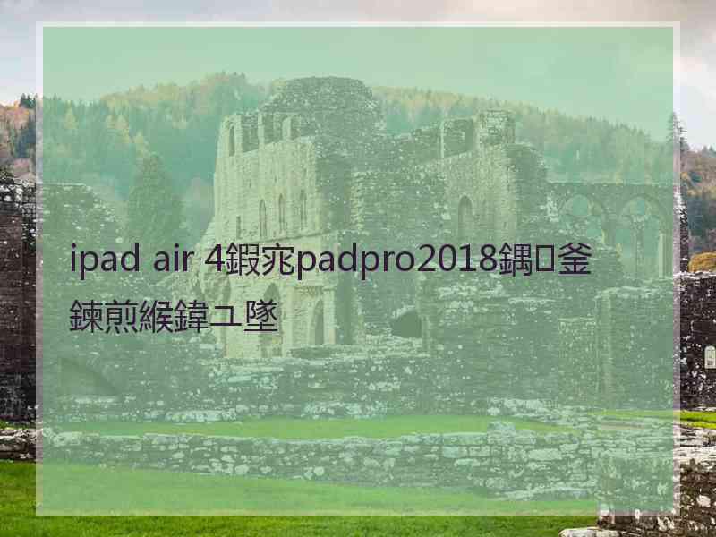 ipad air 4鍜宨padpro2018鍝釜鍊煎緱鍏ユ墜