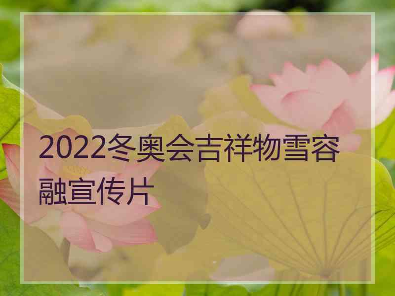 2022冬奥会吉祥物雪容融宣传片