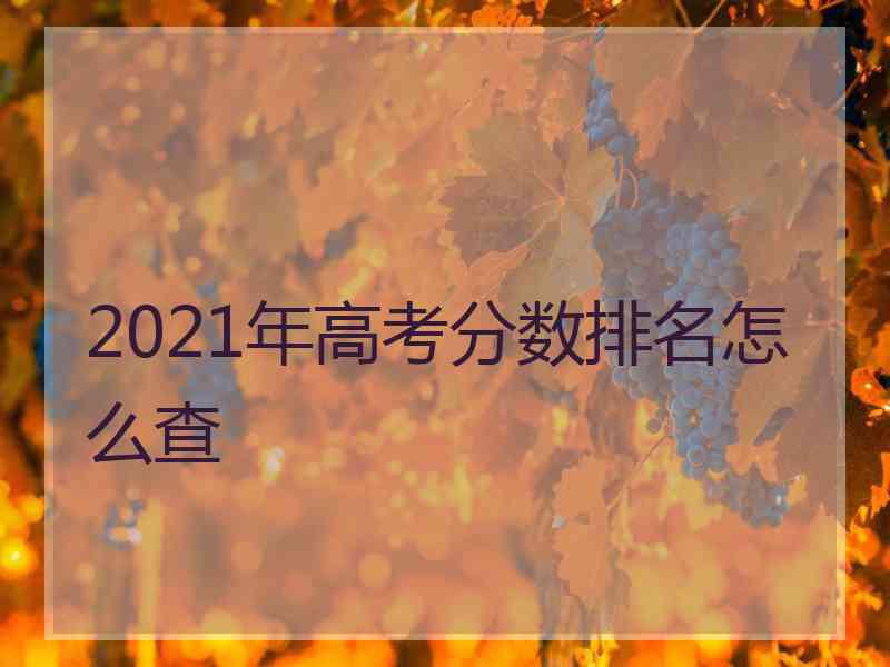 2021年高考分数排名怎么查