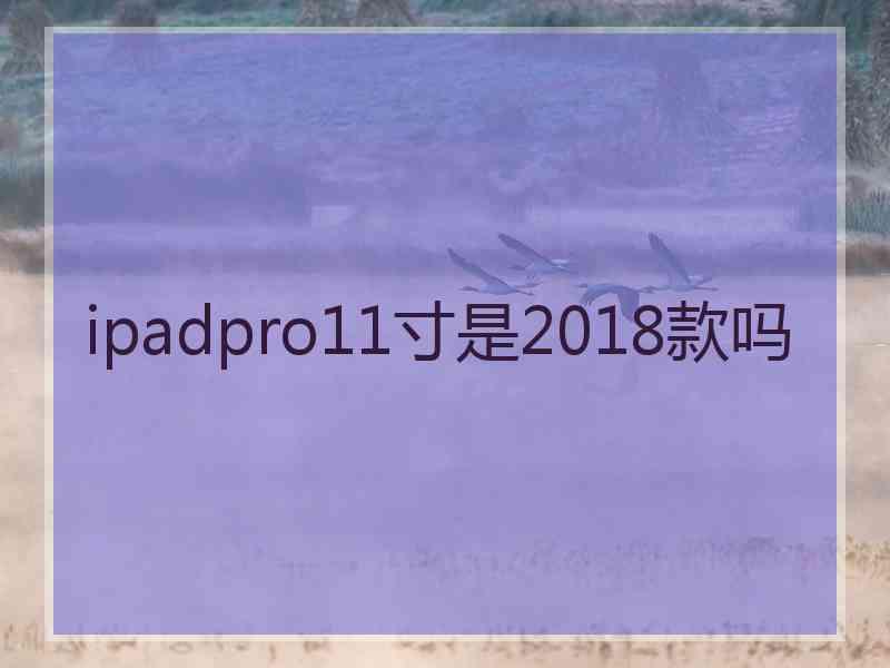 ipadpro11寸是2018款吗