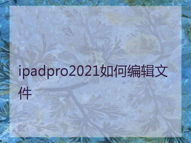 ipadpro2021如何编辑文件