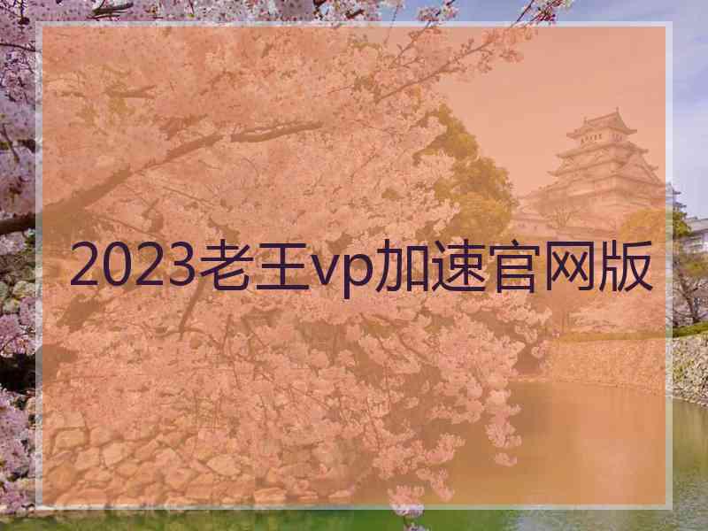 2023老王vp加速官网版