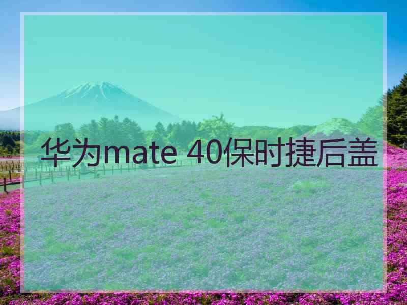 华为mate 40保时捷后盖