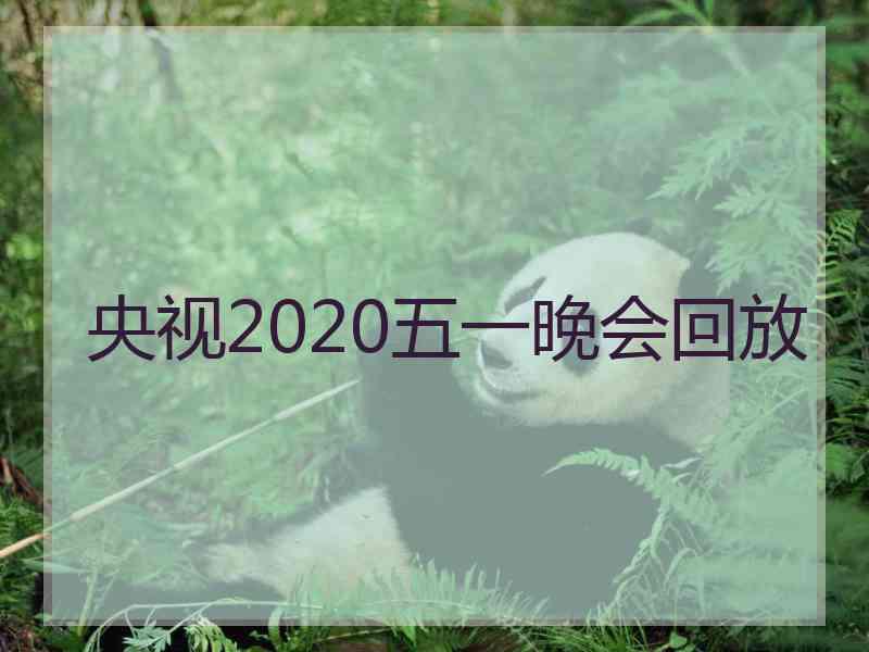 央视2020五一晚会回放