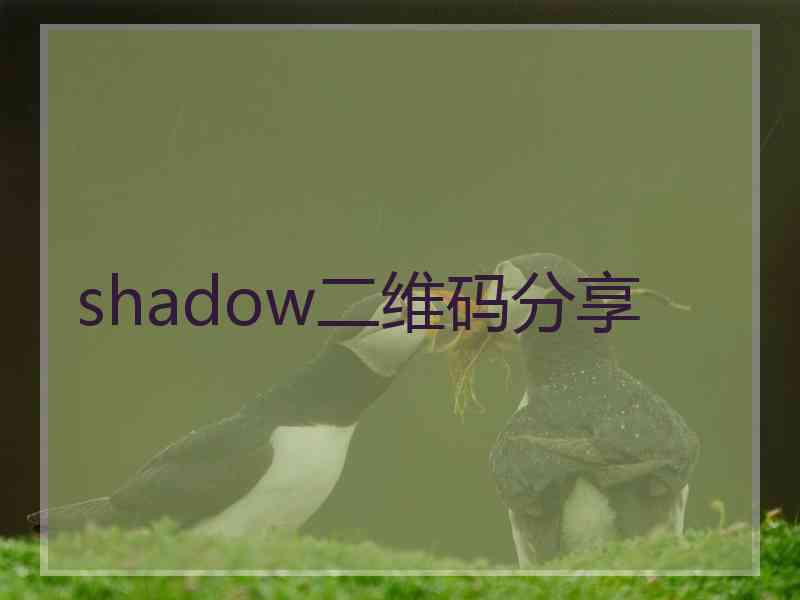 shadow二维码分享