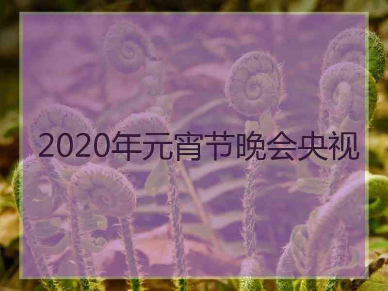 2020年元宵节晚会央视