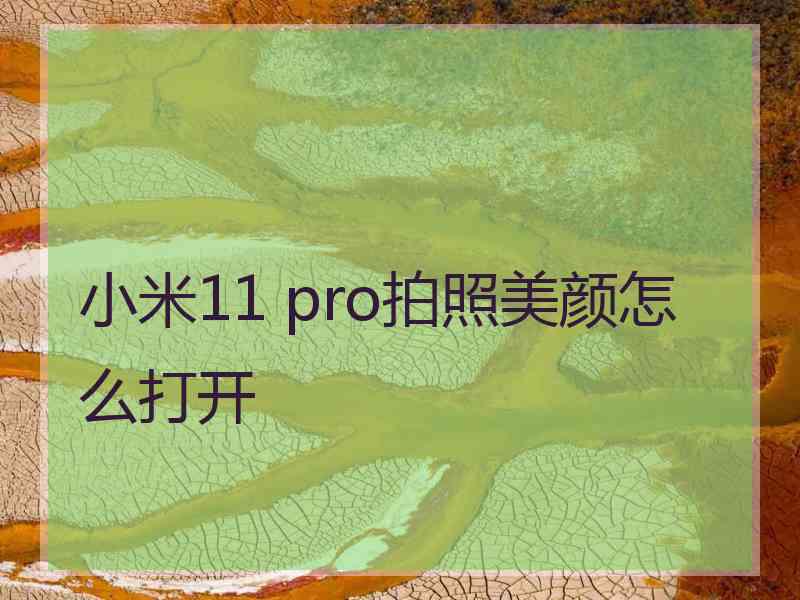 小米11 pro拍照美颜怎么打开